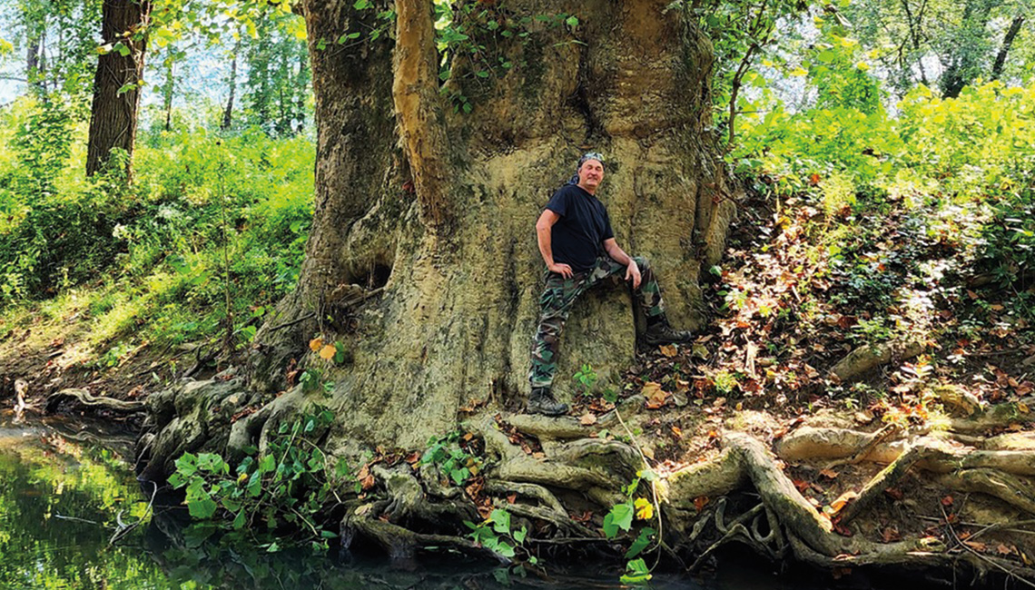 An amateur naturalist has made it his mission to seek out the biggest trees in the state.