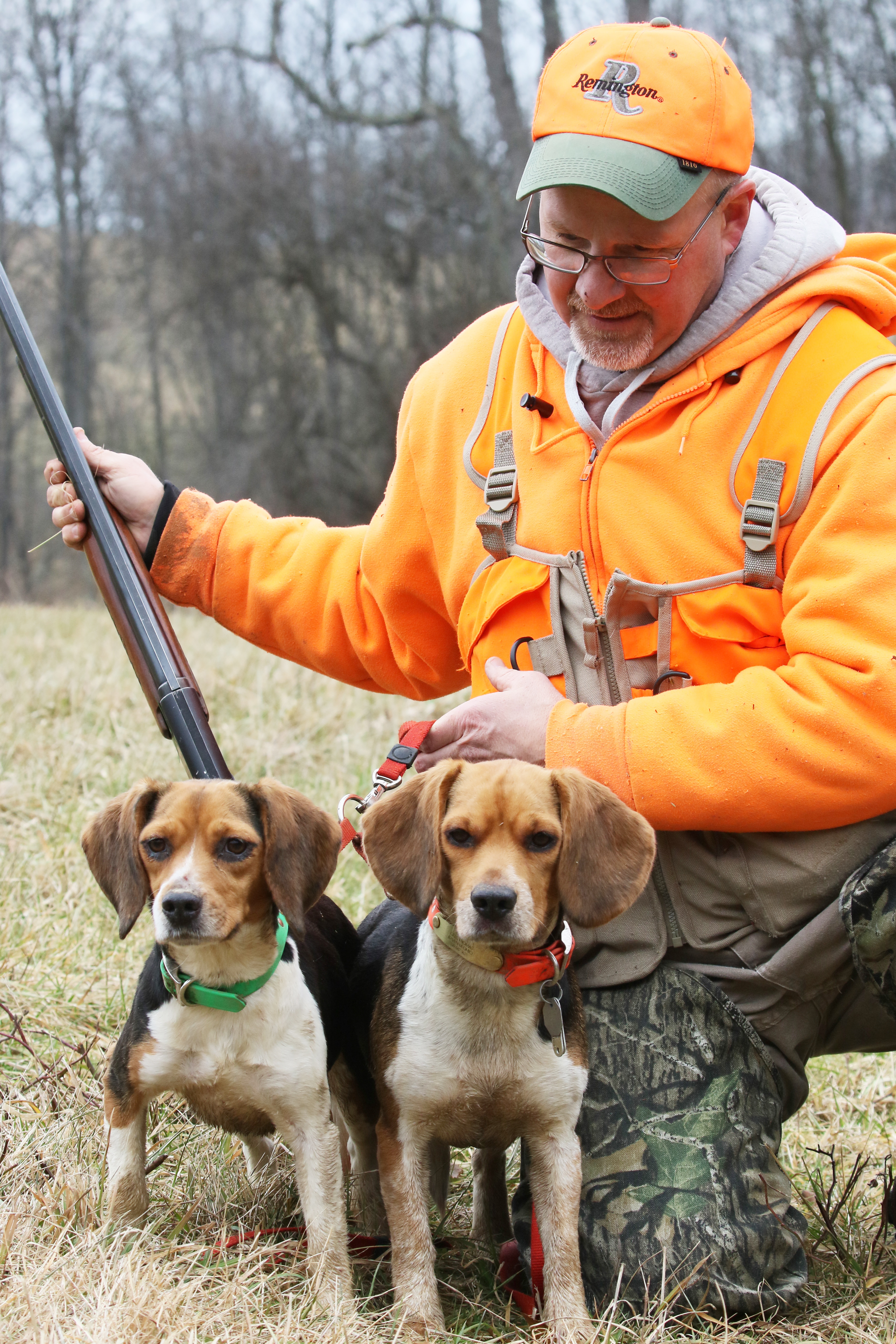 Hunter with two beagles