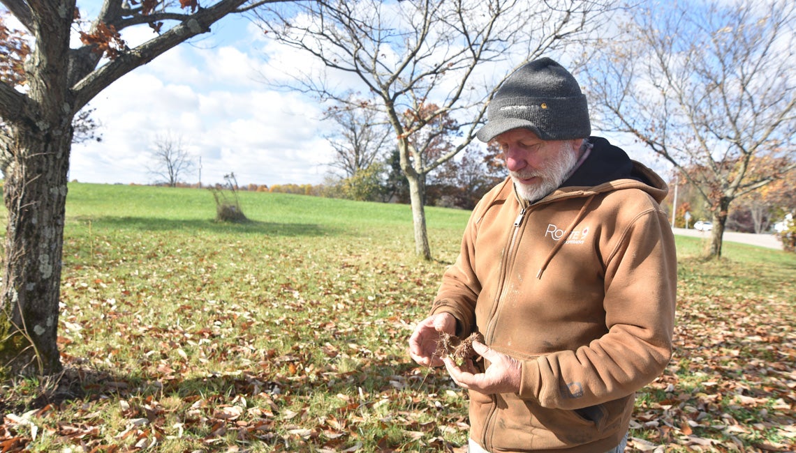 Greg Miller harvests chestnuts in eastern Ohio