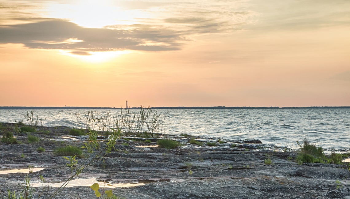 Coast of a lake (Credit: Getty Images)