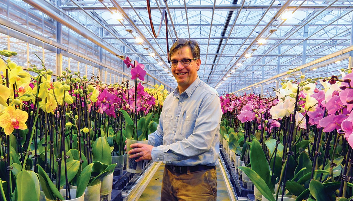 Man in greenhouse