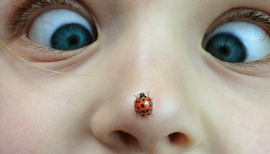 Ladybug on child's nose (Credit: Getty Images)