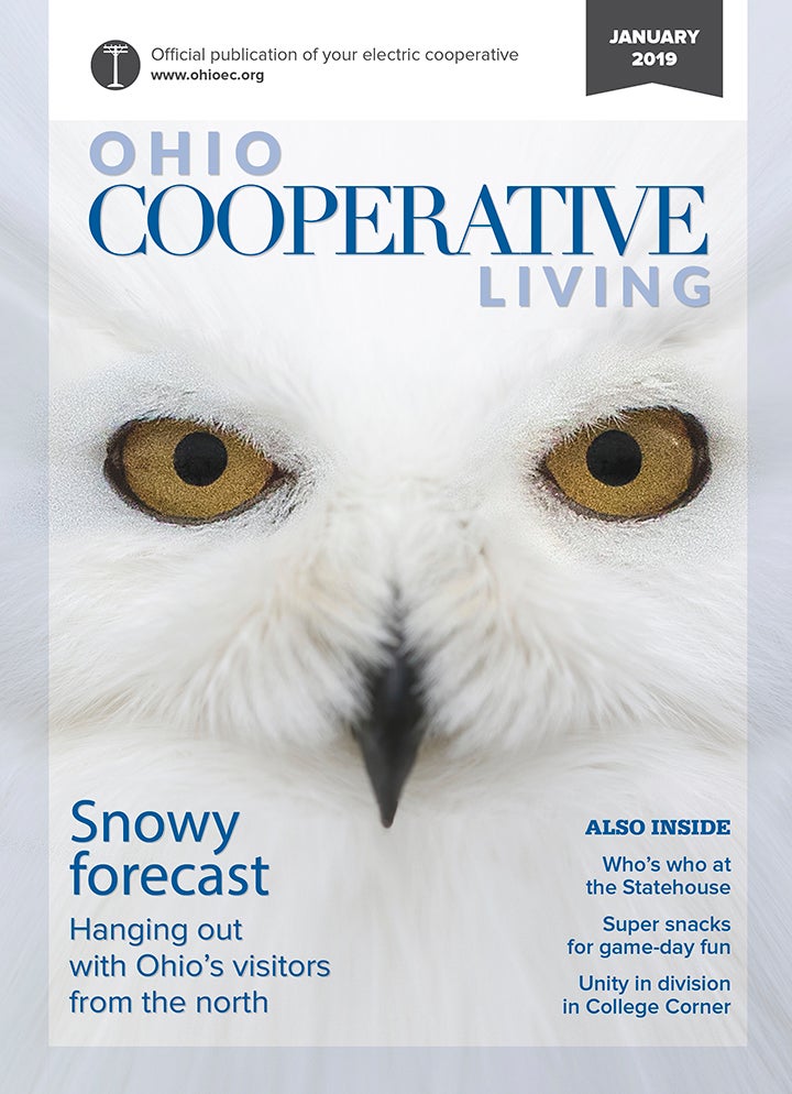 January 2019 Cover