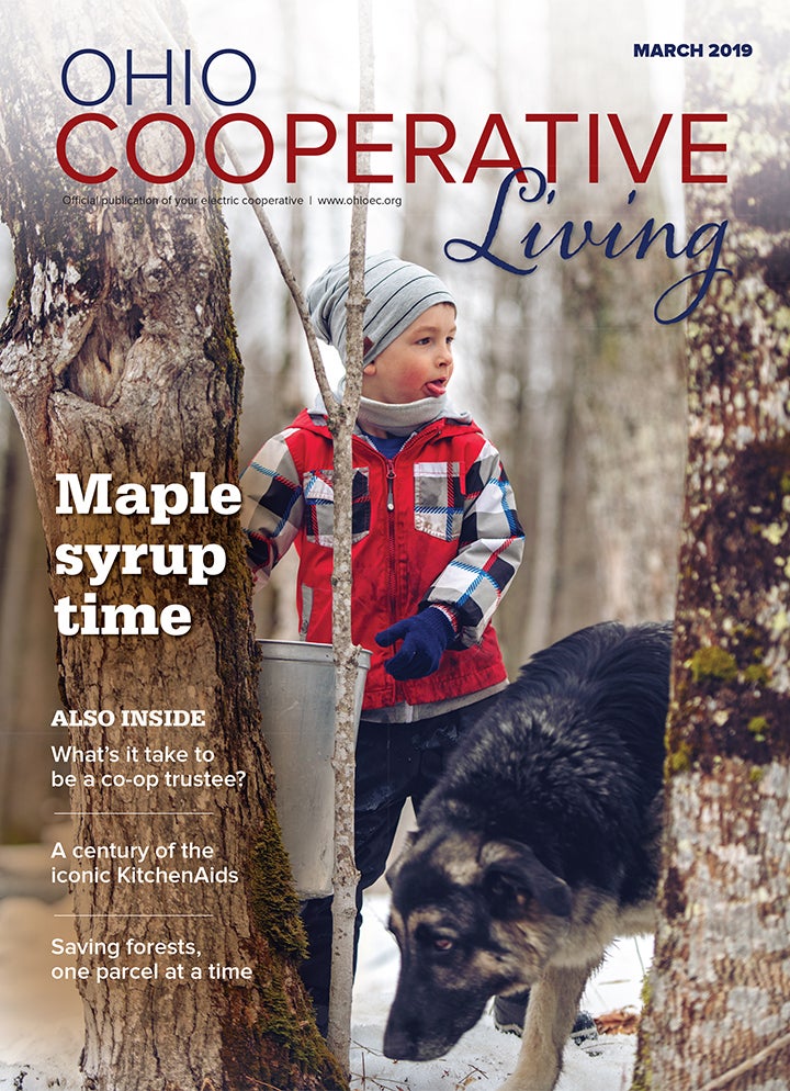 March 2019 Cover