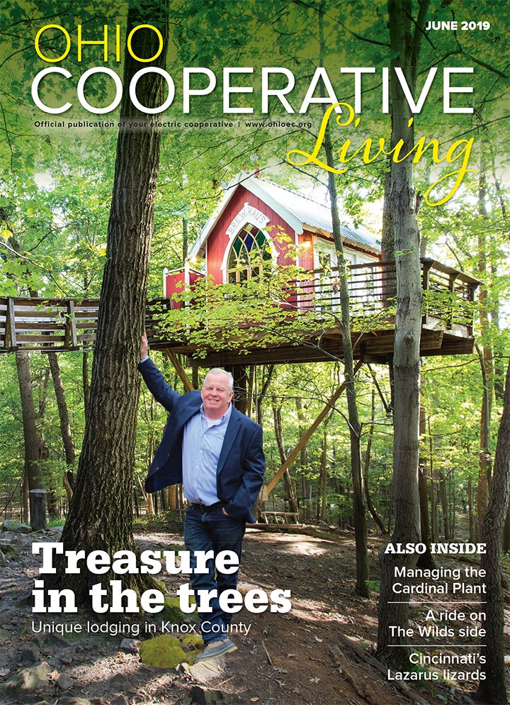 June 2019 Cover