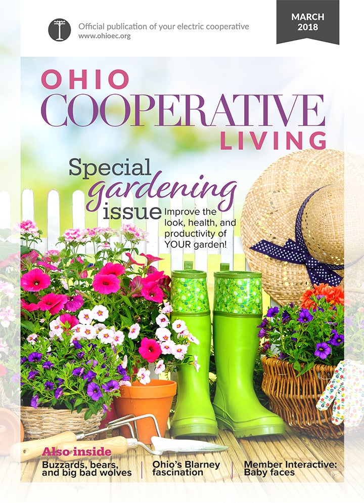March 2018 Cover