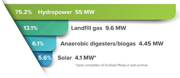 Buckeye Power's Renewable Generation Sources