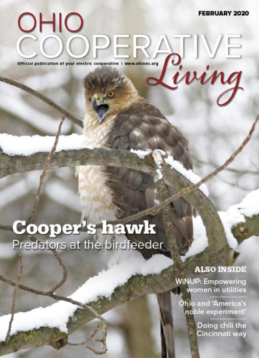 February 2020 Cover