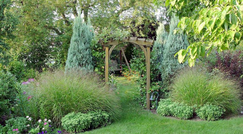 A garden at a home