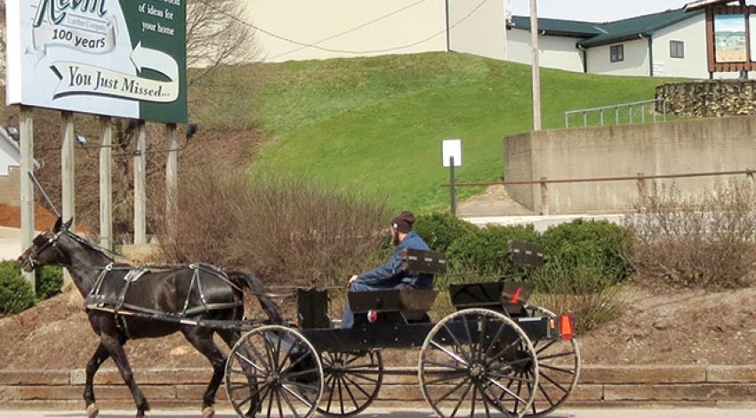 A man rides a horse-drawn carriage.