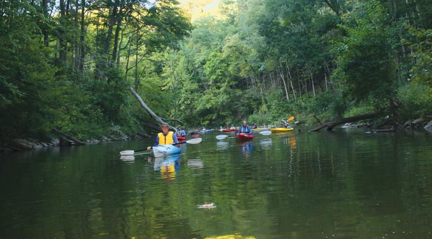 A group of kayakers paddle through a river.