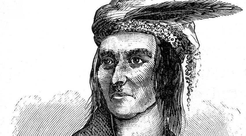 A drawing of Tecumseh staring into the distance