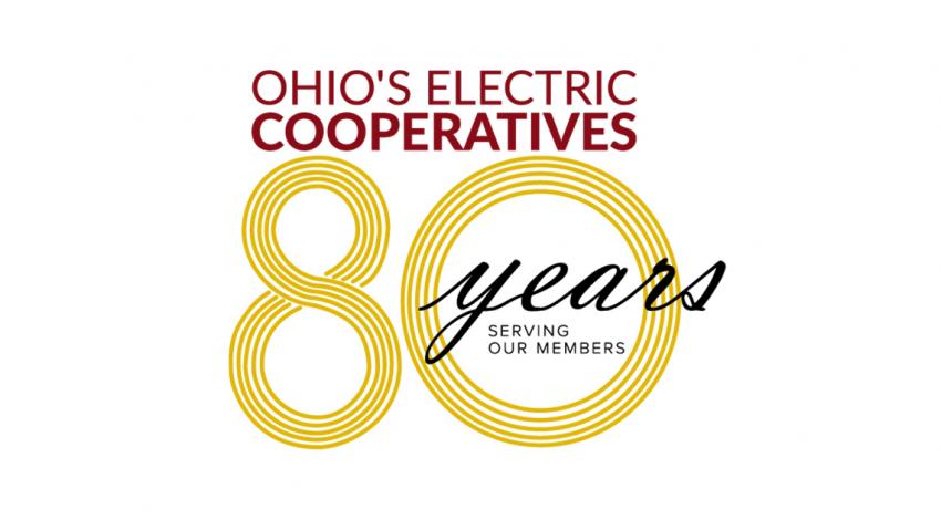 OEC anniversary logo