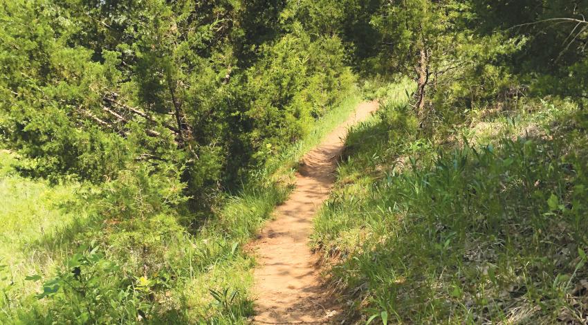 If you meander too far off the trail, you may find yourself on the edge of a drop of hundreds of feet.