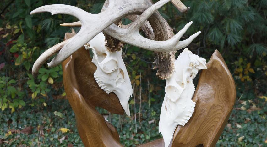 Deer-head sculpture