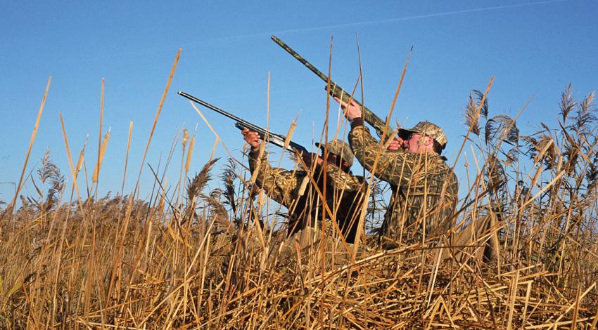 Had it not been for Ohio’s duck hunters, much of Ohio’s marshland, which is so important to both birding and hunting today, may well have been lost to development.