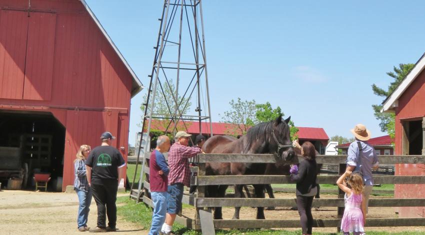 Visitors also can get up close and personal with a bevy of the farm’s residents, such as Bob, a Percheron horse.