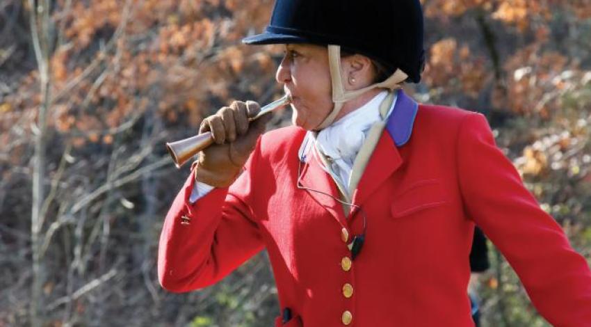 A woman using a hunting horn to call her hounds during a fox hunt.