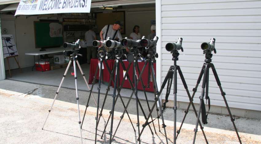 Birding telescopes on display