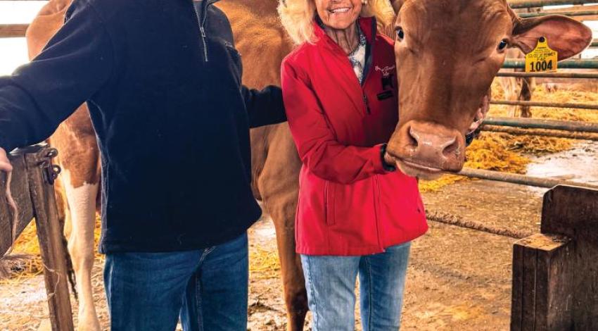 A man and woman posing with a dairy cow