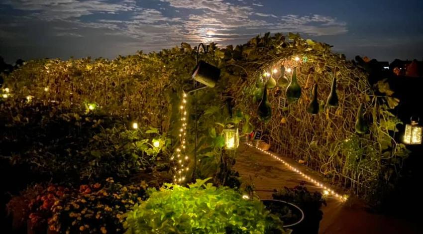 Gourd tunnel