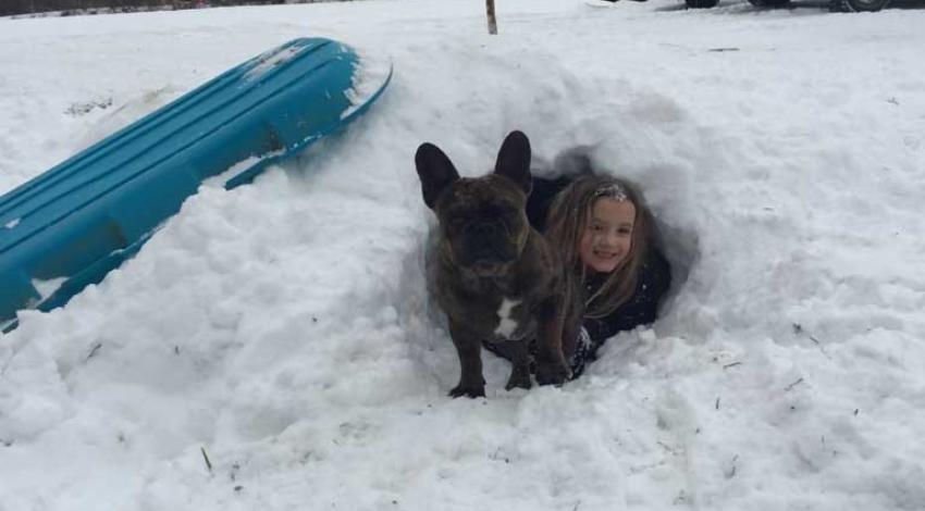 girl and dog look out of snow fort