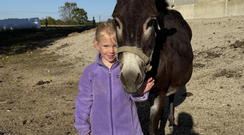 little girl with donkey
