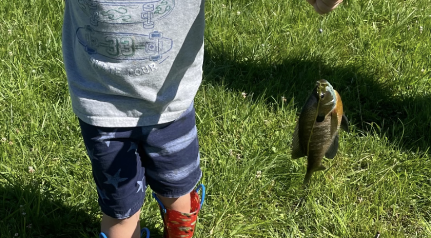 boy smiling holding a fish