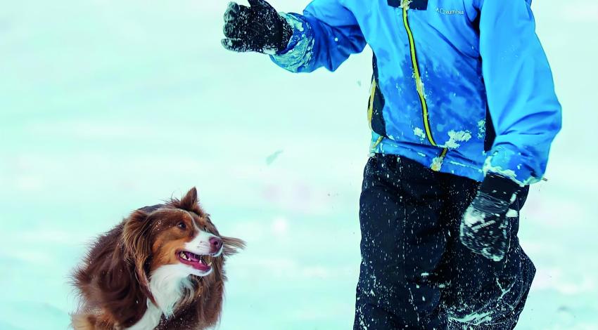 boy and dog running in the snow