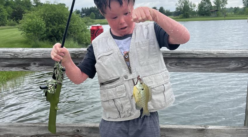 young boy looking at a fish