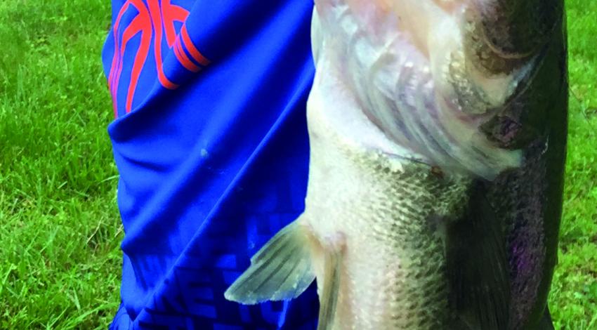 smiling boy holding out a fish