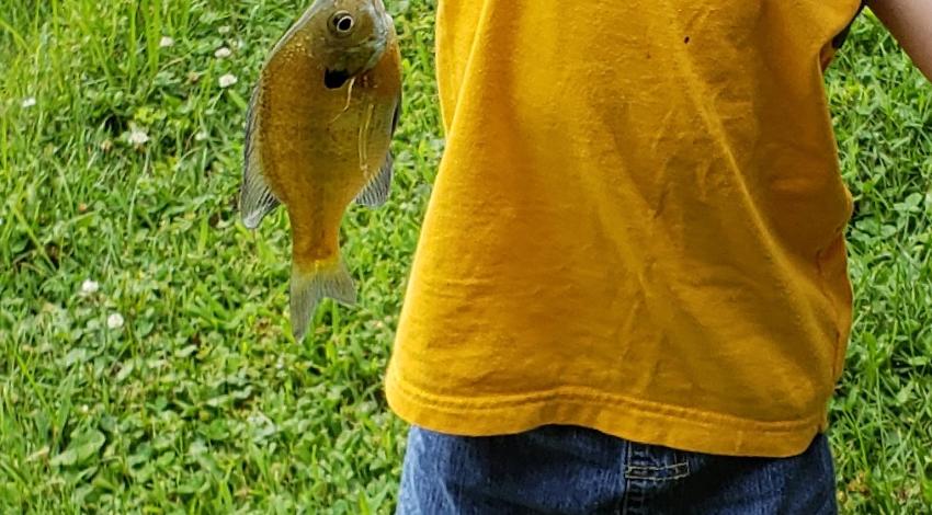 boy smiling holding a fish