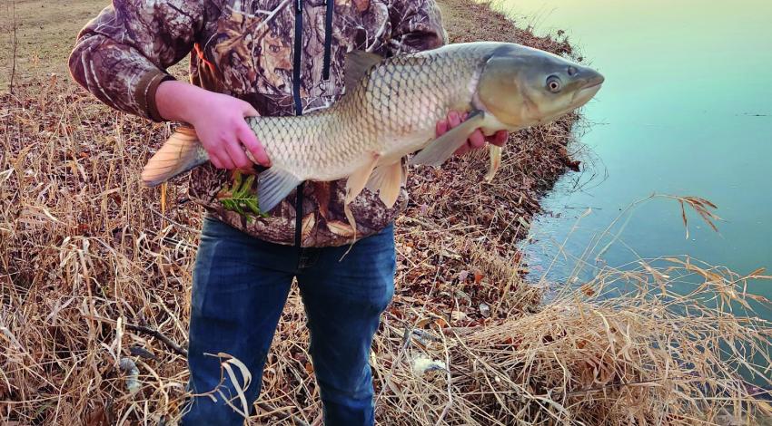 Boy holding a fish