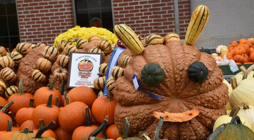 large caterpillar sculpture made of pumpkins and gourds