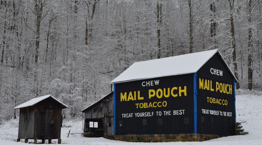 Black barn with Mail Pouch logo in front of snowy forest