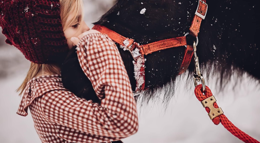 Little girl kisses pony's nose in snow