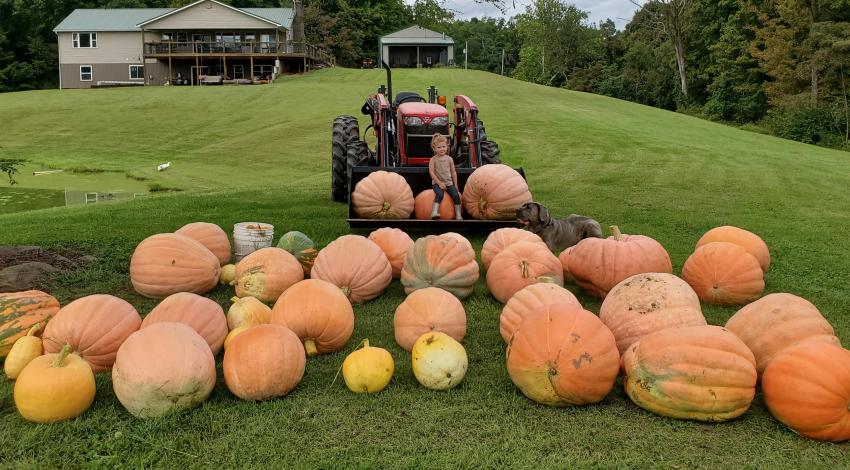 little girl on front of tractor, surrounded by big pumpkins