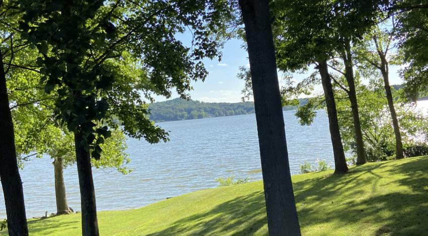 sun shining through trees on lake shore