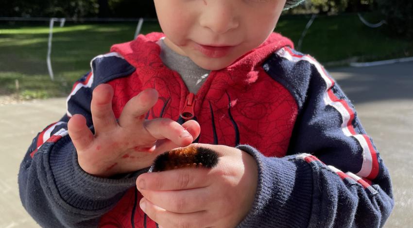 Small boy in jacket and hat holds woolly worm on one hand and pets it with the other