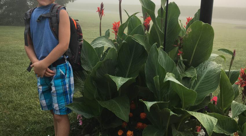 little boy with backpack next to flower bed