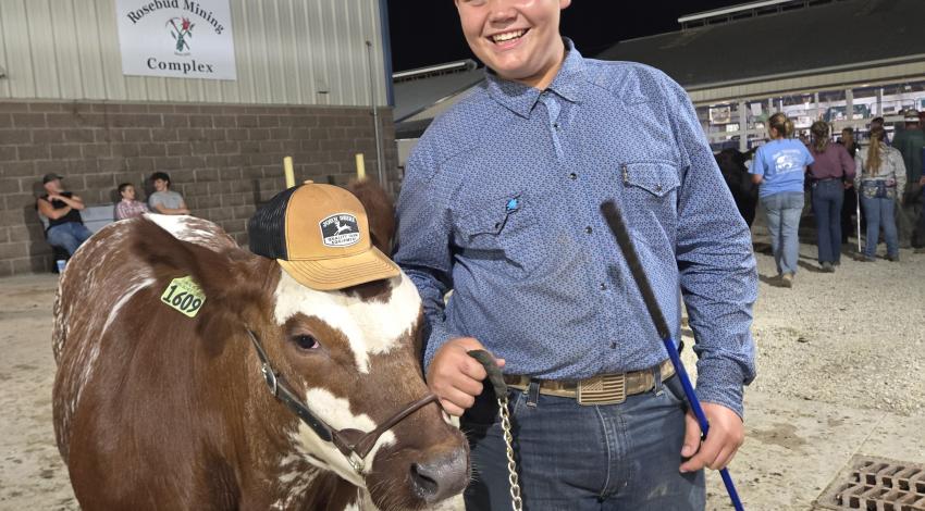 boy with steer