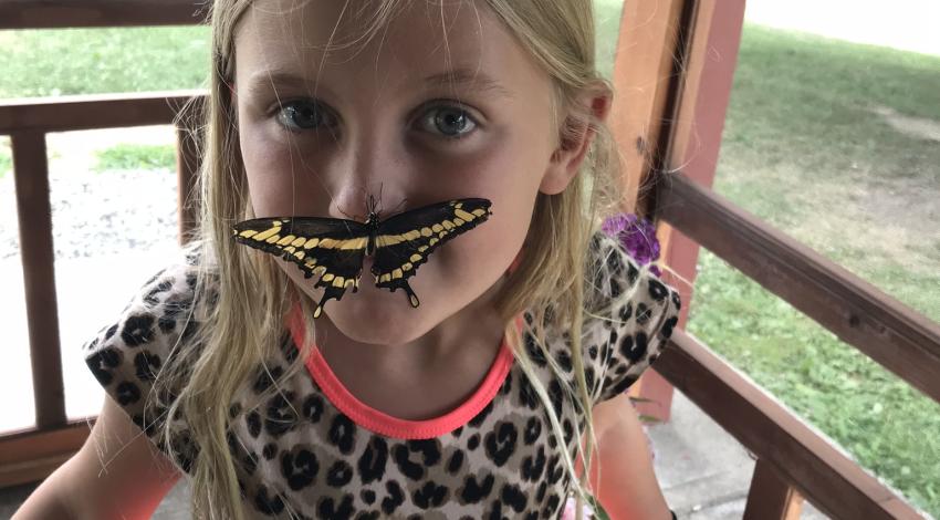 young girl with black-and-yellow butterfly on her nose