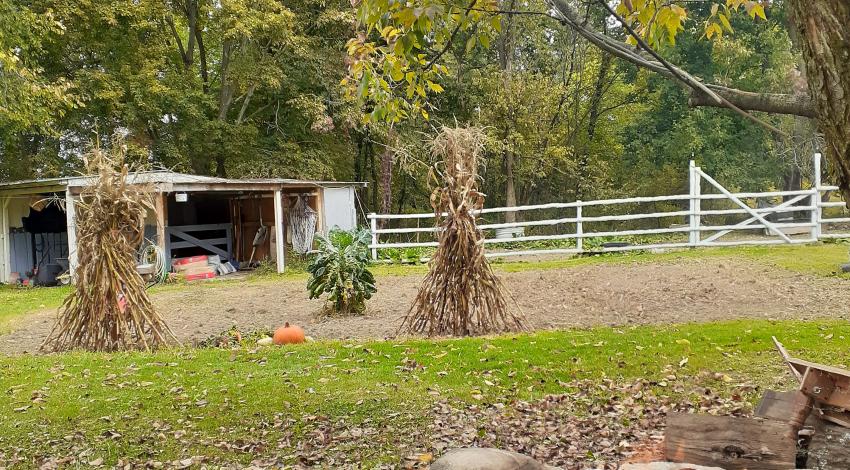 campfire with cornstalks and pumpkins in background