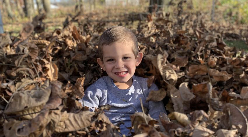 little boy in leaf pile