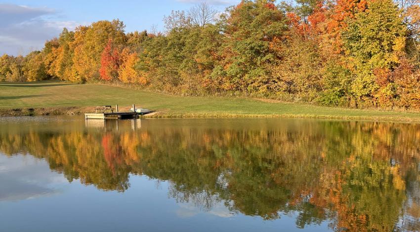 autumn trees reflected on pond