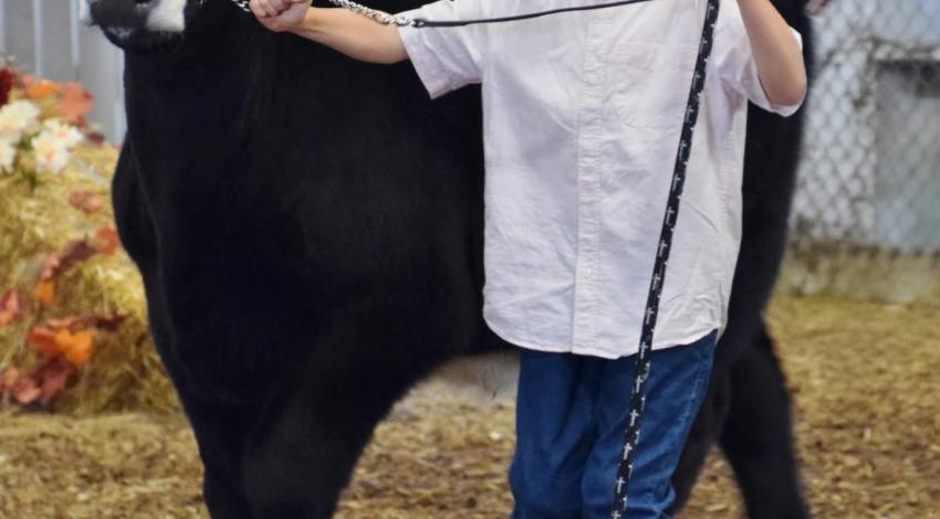 boy with cow
