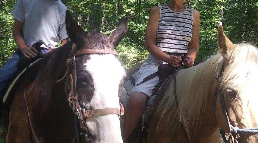 Man and woman on horses in woods