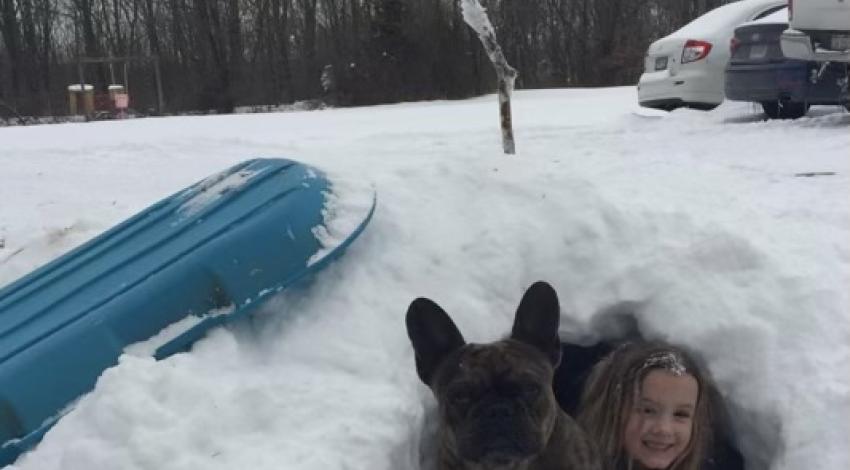 girl and dog in snow