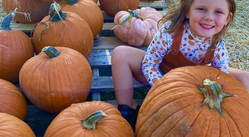 little girl on pallet with pumpkins