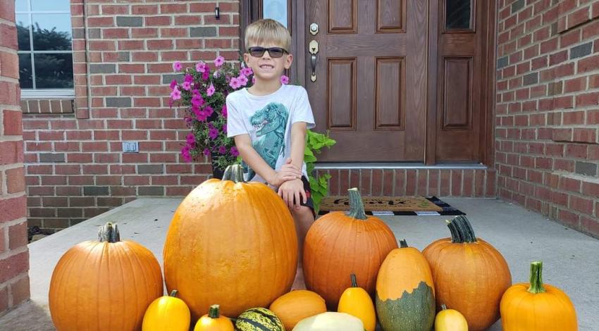 boy sitting behind display of pumpkins and gourds